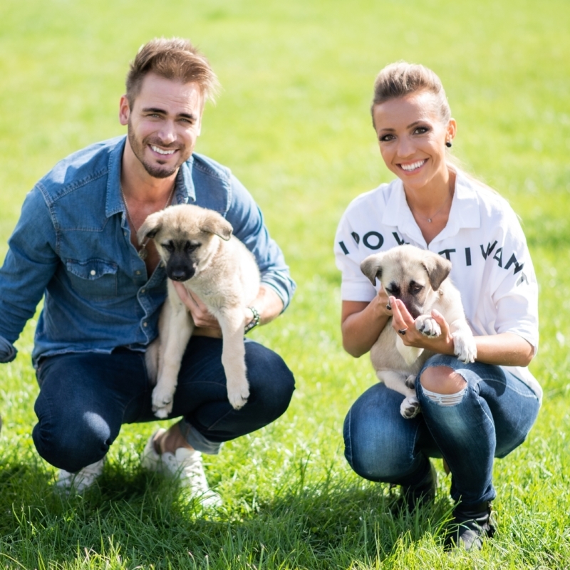 Yandex Go and Kika supporting animal shelter
